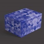 The-Blue-Triangle-box-1